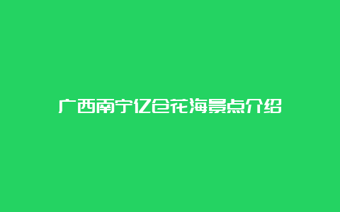 广西南宁亿仓花海景点介绍