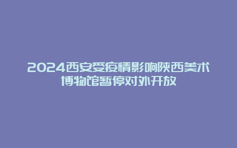 2024西安受疫情影响陕西美术博物馆暂停对外开放