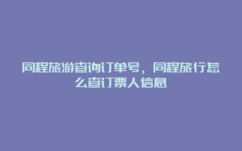 同程旅游查询订单号，同程旅行怎么查订票人信息