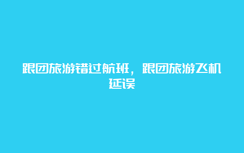 跟团旅游错过航班，跟团旅游飞机延误