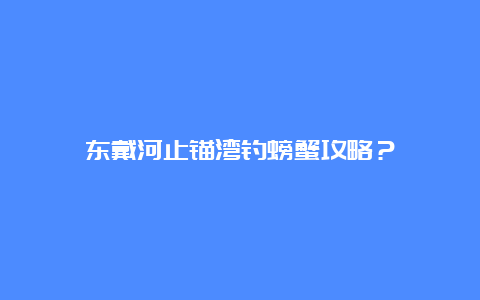 东戴河止锚湾钓螃蟹攻略？