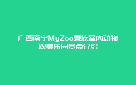 广西南宁MyZoo麦族室内动物观赏乐园景点介绍