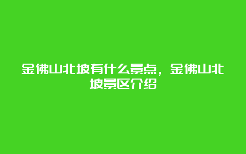 金佛山北坡有什么景点，金佛山北坡景区介绍