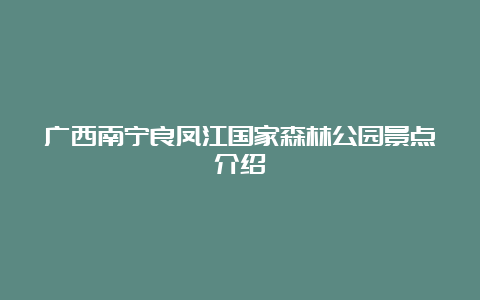 广西南宁良凤江国家森林公园景点介绍