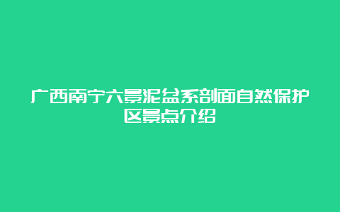 广西南宁六景泥盆系剖面自然保护区景点介绍