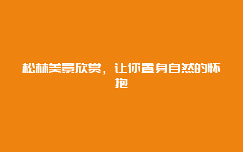 松林美景欣赏，让你置身自然的怀抱