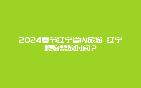 2024春节辽宁省内旅游 辽宁鞭炮禁放时间？