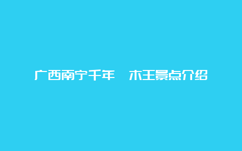 广西南宁千年枧木王景点介绍