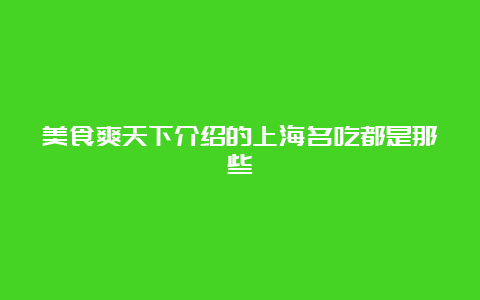 美食爽天下介绍的上海名吃都是那些