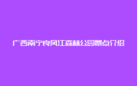 广西南宁良凤江森林公园景点介绍