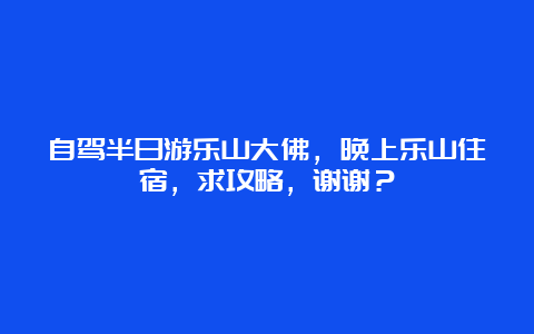 自驾半日游乐山大佛，晚上乐山住宿，求攻略，谢谢？