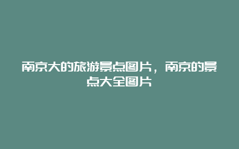 南京大的旅游景点图片，南京的景点大全图片