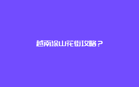 越南涂山花街攻略？