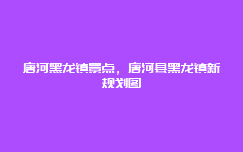 唐河黑龙镇景点，唐河县黑龙镇新规划图