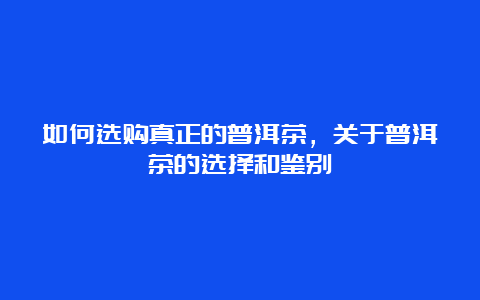 如何选购真正的普洱茶，关于普洱茶的选择和鉴别