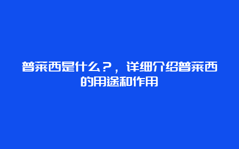 普莱西是什么？，详细介绍普莱西的用途和作用