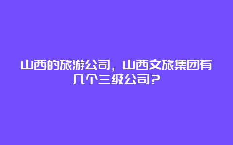 山西的旅游公司，山西文旅集团有几个三级公司？