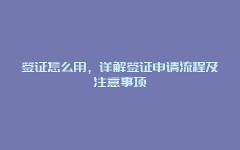 签证怎么用，详解签证申请流程及注意事项