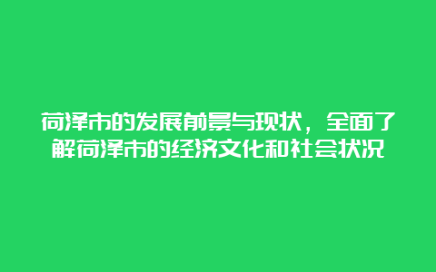 荷泽市的发展前景与现状，全面了解荷泽市的经济文化和社会状况