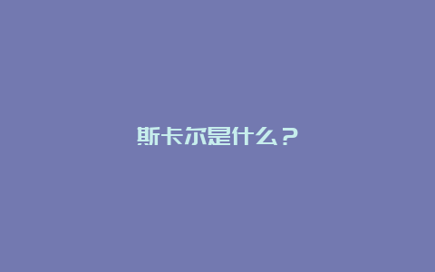 斯卡尔是什么？