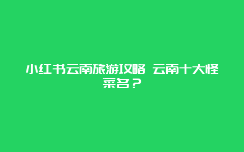 小红书云南旅游攻略 云南十大怪菜名？