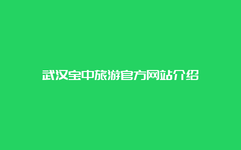 武汉宝中旅游官方网站介绍