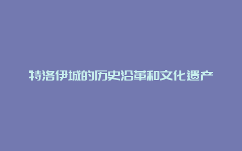 特洛伊城的历史沿革和文化遗产