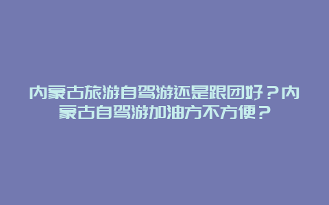 内蒙古旅游自驾游还是跟团好？内蒙古自驾游加油方不方便？