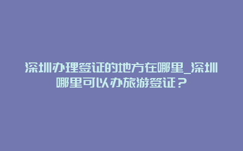 深圳办理签证的地方在哪里_深圳哪里可以办旅游签证？