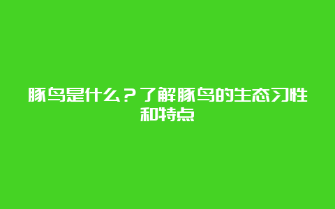 豚鸟是什么？了解豚鸟的生态习性和特点