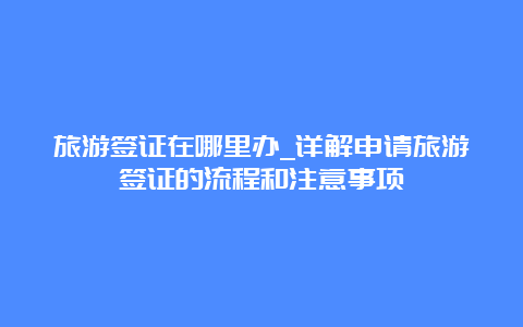 旅游签证在哪里办_详解申请旅游签证的流程和注意事项