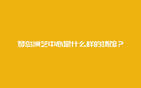 琴岛演艺中心是什么样的场馆？