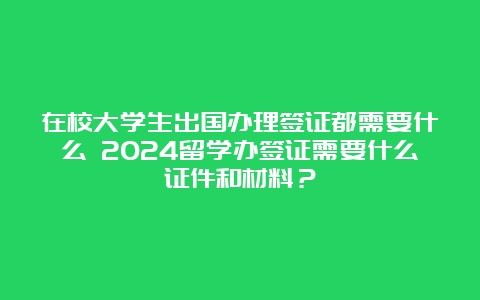 在校大学生出国办理签证都需要什么 2024留学办签证需要什么证件和材料？