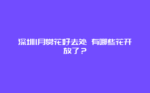 深圳1月赏花好去处 有哪些花开放了？