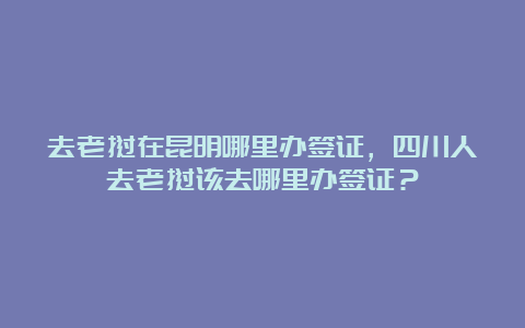 去老挝在昆明哪里办签证，四川人去老挝该去哪里办签证？