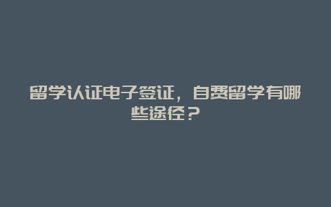 留学认证电子签证，自费留学有哪些途径？