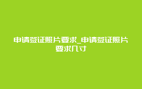 申请签证照片要求_申请签证照片要求几寸