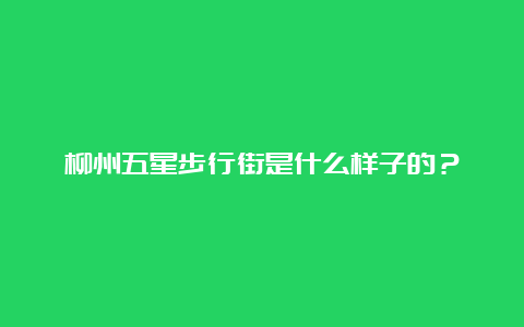 柳州五星步行街是什么样子的？