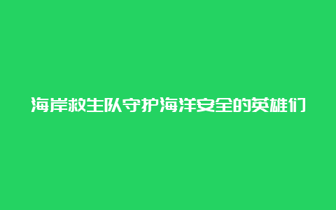 海岸救生队守护海洋安全的英雄们