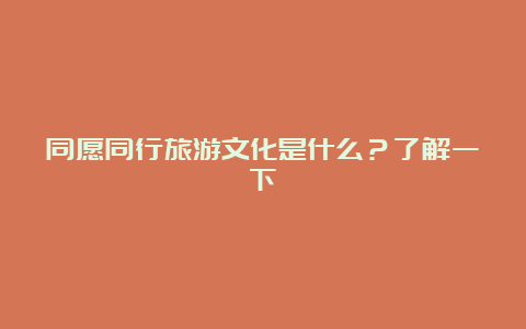 同愿同行旅游文化是什么？了解一下