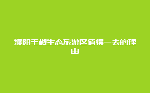 濮阳毛楼生态旅游区值得一去的理由