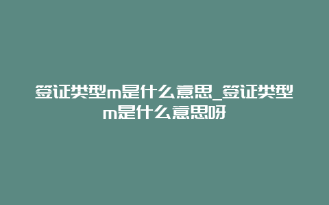 签证类型m是什么意思_签证类型m是什么意思呀