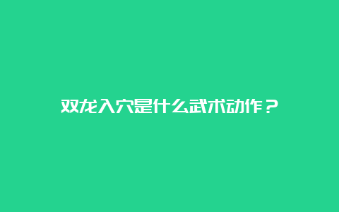 双龙入穴是什么武术动作？