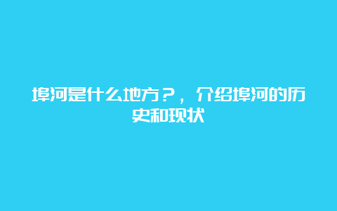 埠河是什么地方？，介绍埠河的历史和现状