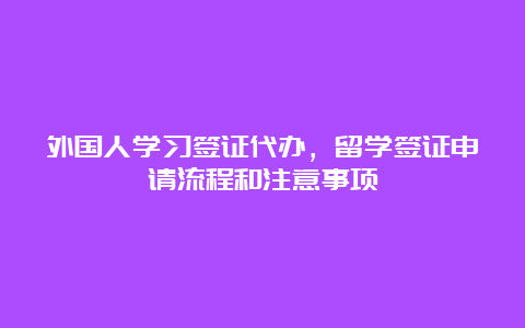 外国人学习签证代办，留学签证申请流程和注意事项