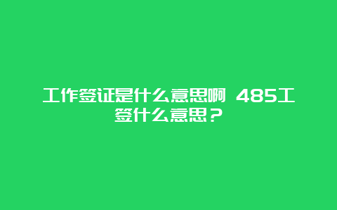 工作签证是什么意思啊 485工签什么意思？