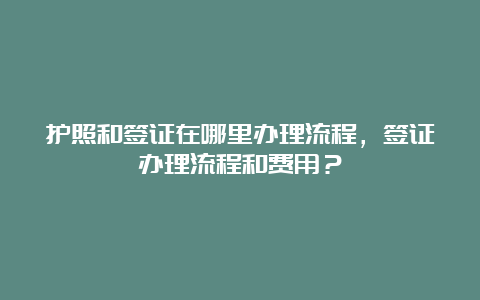 护照和签证在哪里办理流程，签证办理流程和费用？