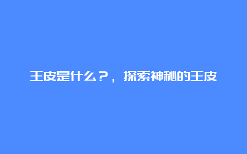 王皮是什么？，探索神秘的王皮