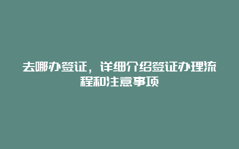 去哪办签证，详细介绍签证办理流程和注意事项