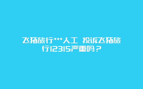 飞猪旅行***人工 投诉飞猪旅行12315严重吗？